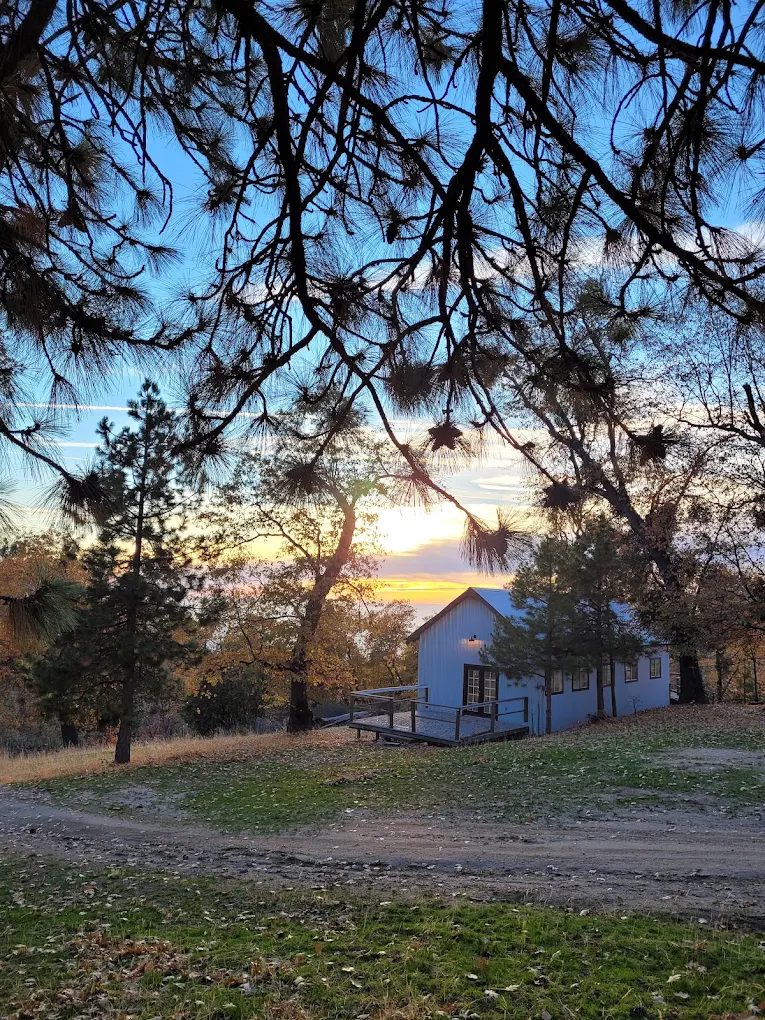 Cabin through the pines at sunset, Sequoia Highland Camp